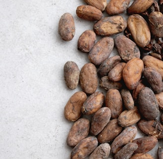 A vibrant display of high-quality cocoa powder and seeds.