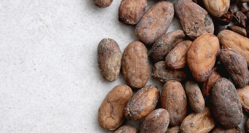 A vibrant display of high-quality cocoa powder and seeds.